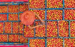 Market in Bangladesh