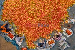 Market in Bangladesh