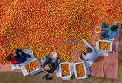 Market in Bangladesh