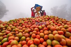 Market in Bangladesh