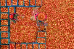 Market in Bangladesh