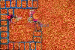 Market in Bangladesh