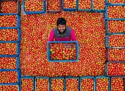 Market in Bangladesh