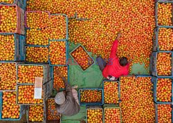 Market in Bangladesh