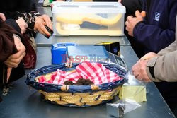 Black truffle market -  Castelnaudary 