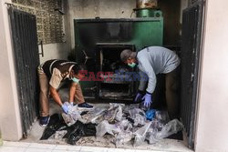 Indonesian authority thwarts attempt to smuggle protected animals