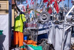 Low catch quotas for herring fishermen