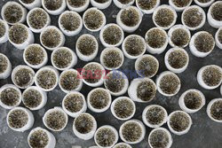 Gohona Gram: The Last Holdout Of Jewellery Artisans - Bangladesh