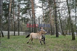 Chornobyl Exclusion Zone 2021
