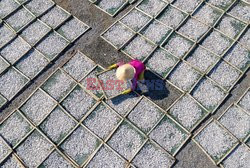 Thousands of fish are laid out to dry  - My Tan