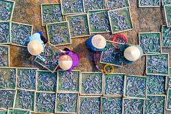 Thousands of fish are laid out to dry  - My Tan