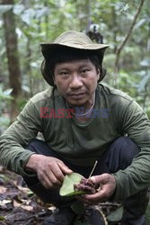 Tribes in deep water: gold, guns and the Amazon's last frontier. Mining reserves - and plentiful fish 