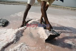 Sea salt production in Karachi