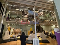 National Museum of Scotland