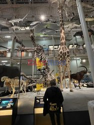 National Museum of Scotland