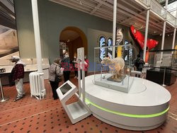 National Museum of Scotland