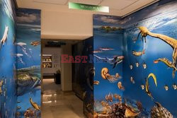 Darwin and Dohrn Biodiversity Museum (DaDoM) in Italy
