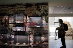 Darwin and Dohrn Biodiversity Museum (DaDoM) in Italy