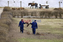 Camp For russian POWs - Ukraine
