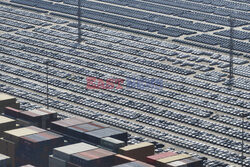 China Automotive export