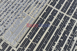 China Automotive export