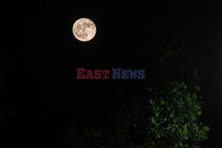 Full Flower Moon rises over the sky