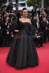 Cannes 2025 Opening Ceremony