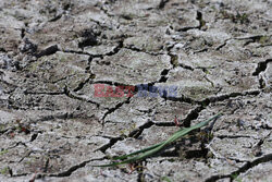  Cracks have formed on a dried-up accumulation of water in a field