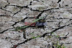  Cracks have formed on a dried-up accumulation of water in a field