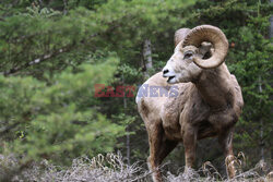 G7 Finance Ministers and Central Bank Governors’ Meeting in Banff