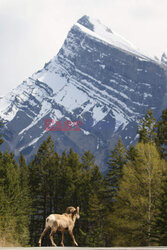 G7 Finance Ministers and Central Bank Governors’ Meeting in Banff