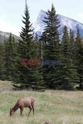 G7 Finance Ministers and Central Bank Governors’ Meeting in Banff