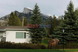 G7 Finance Ministers and Central Bank Governors’ Meeting in Banff
