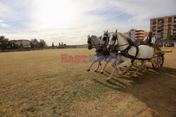First chariot race in the Roman Circus of Merida