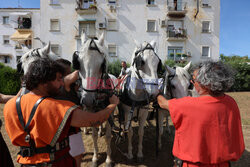 First chariot race in the Roman Circus of Merida