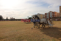 First chariot race in the Roman Circus of Merida