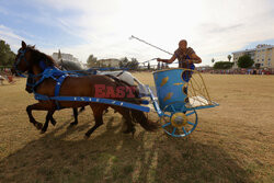 First chariot race in the Roman Circus of Merida
