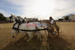 First chariot race in the Roman Circus of Merida