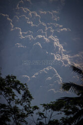 EN_01557634_0010